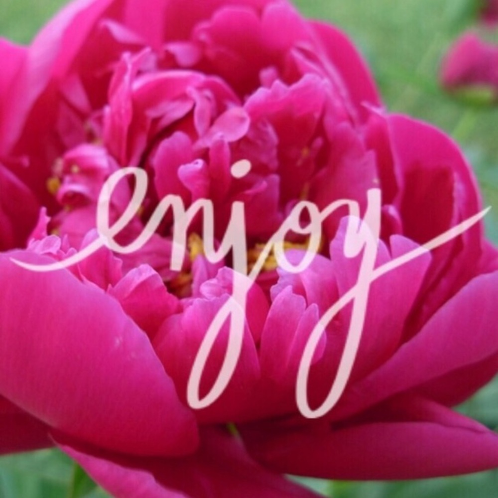 SOLD beyond this post